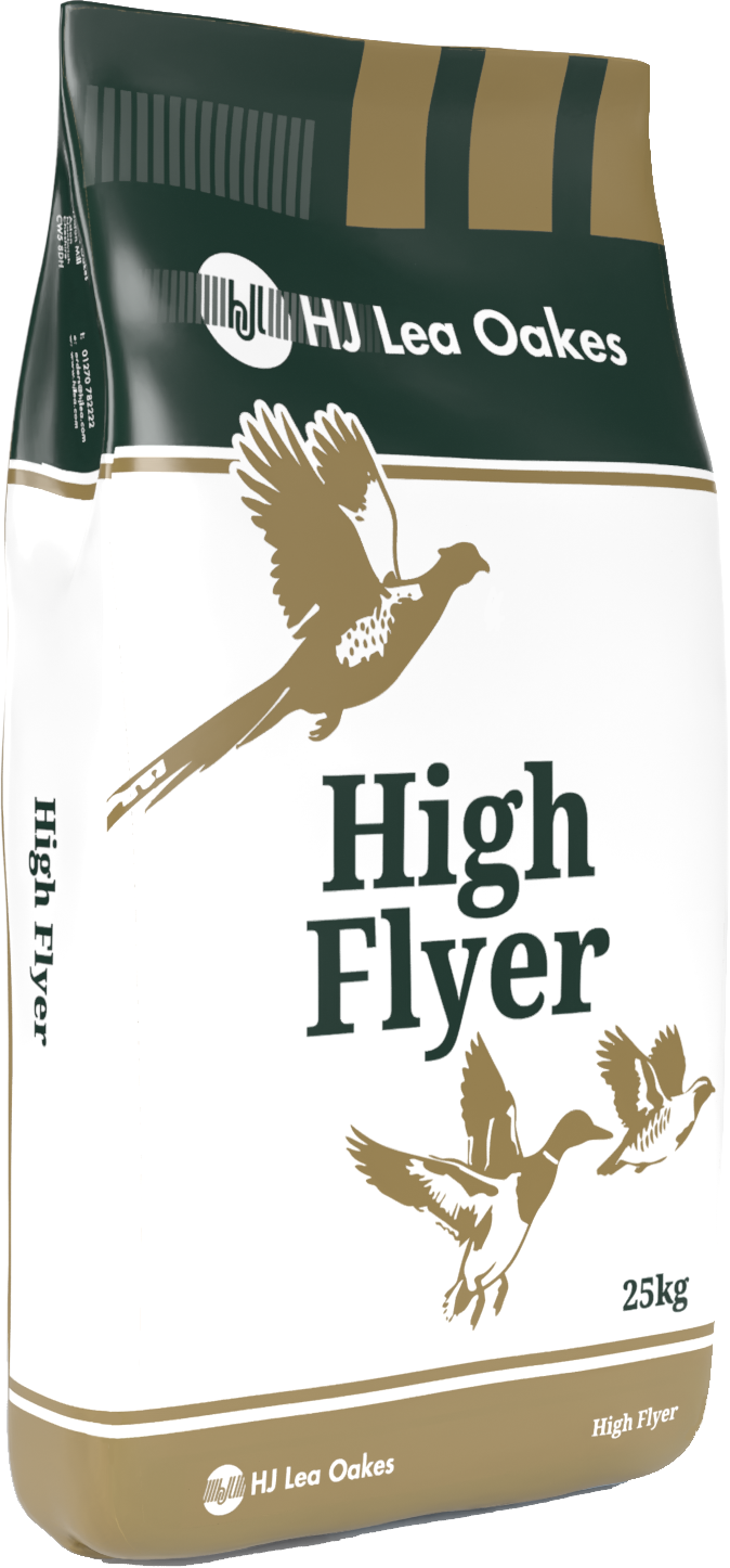 High Flyer