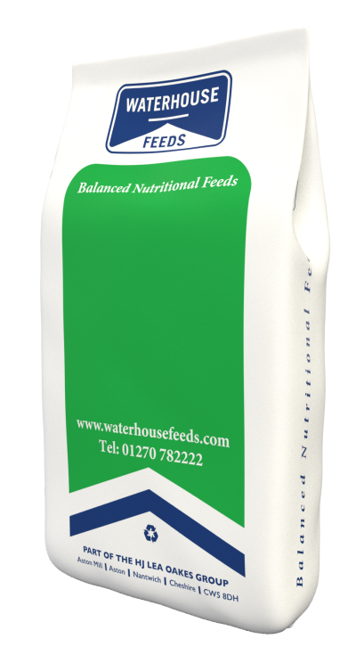 Green waterhouse feeds bag for vitality products