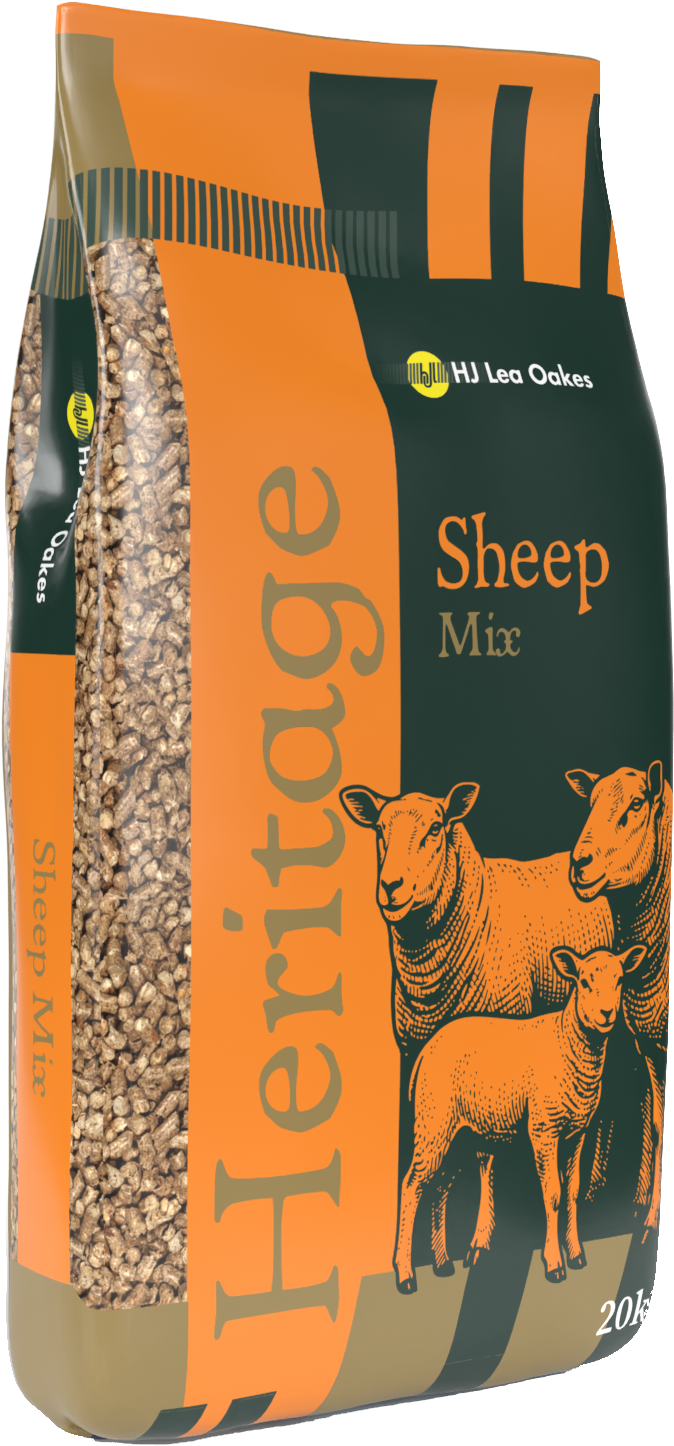 Heritage-Sheep-mix